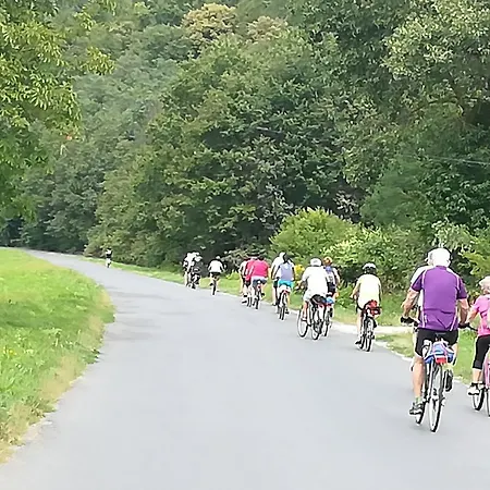 Rejtek Vendeghaz Lispeszentadorján