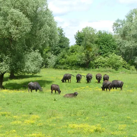 Rejtek Vendeghaz Pensionat 3*