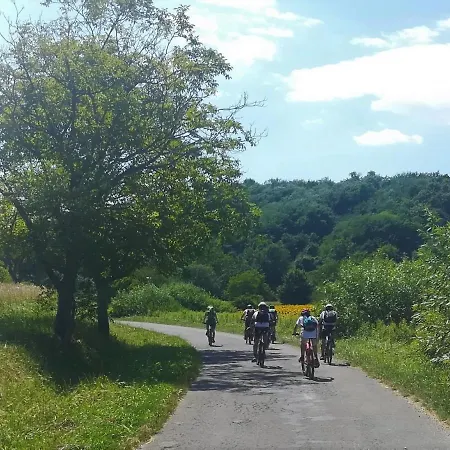 Pensionat Rejtek Vendeghaz Lispeszentadorján