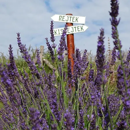 Rejtek Vendeghaz Pensionat 3*