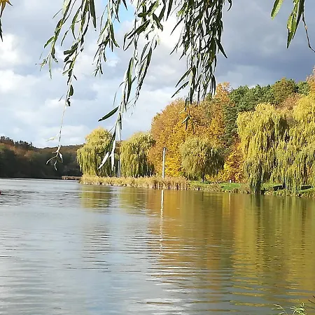 Rejtek Vendeghaz 3* Lispeszentadorján