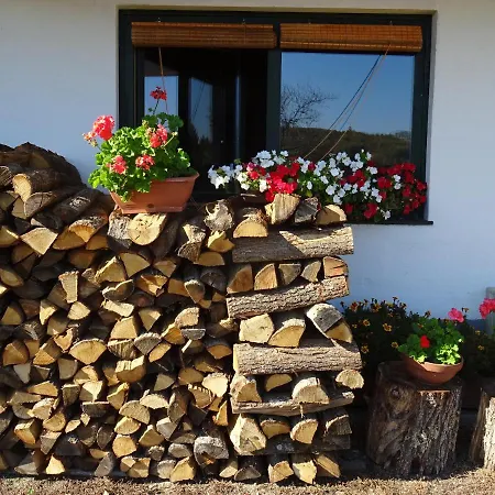 Rejtek Vendeghaz Pensionat 3*