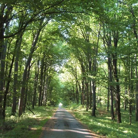 Rejtek Vendeghaz Lispeszentadorján