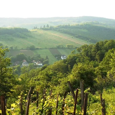 Rejtek Vendeghaz Pensionat