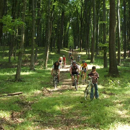 Rejtek Vendeghaz Lispeszentadorján