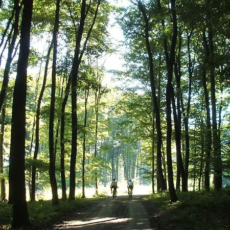 Rejtek Vendeghaz 3* Lispeszentadorján