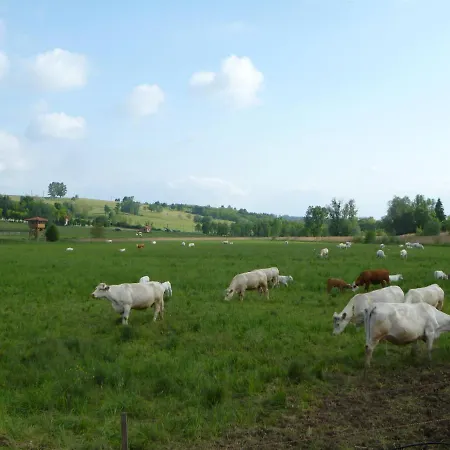 Rejtek Vendeghaz Pensionat 3*