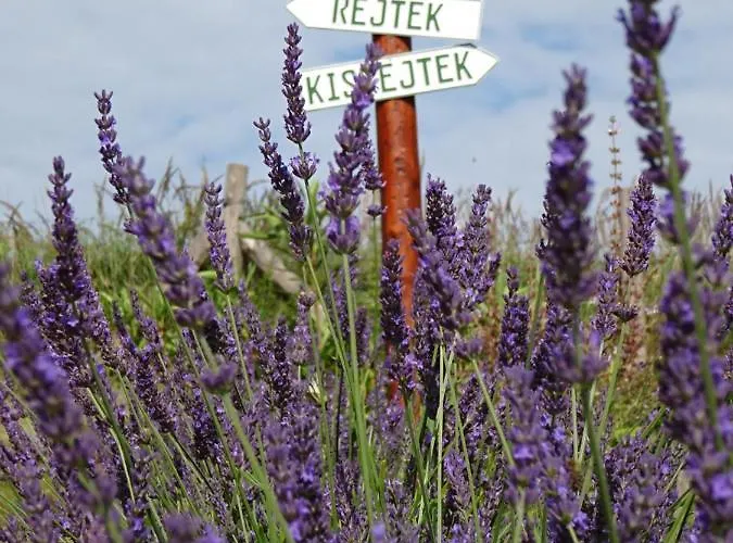 Rejtek Vendeghaz Maison d'hôtes 3*