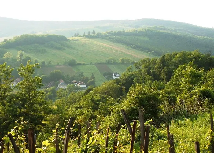 Rejtek Vendeghaz Maison d'hôtes