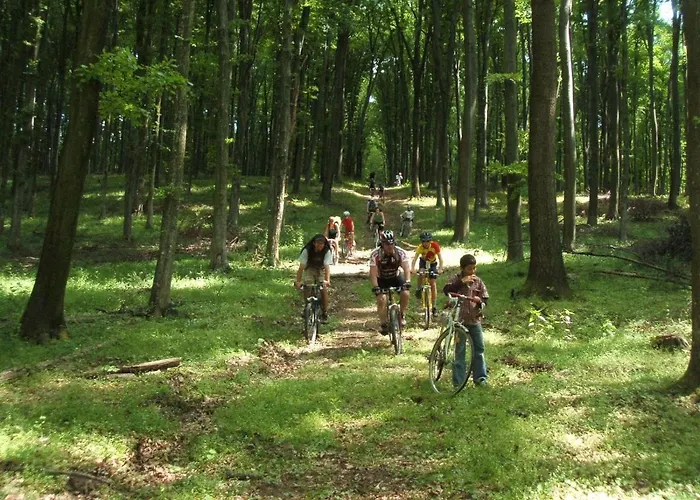 Rejtek Vendeghaz Lispeszentadorján