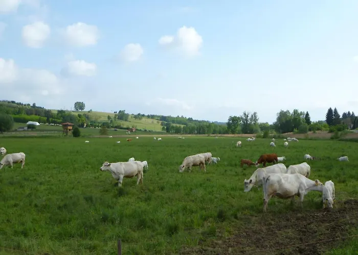 Rejtek Vendeghaz Maison d'hôtes 3*